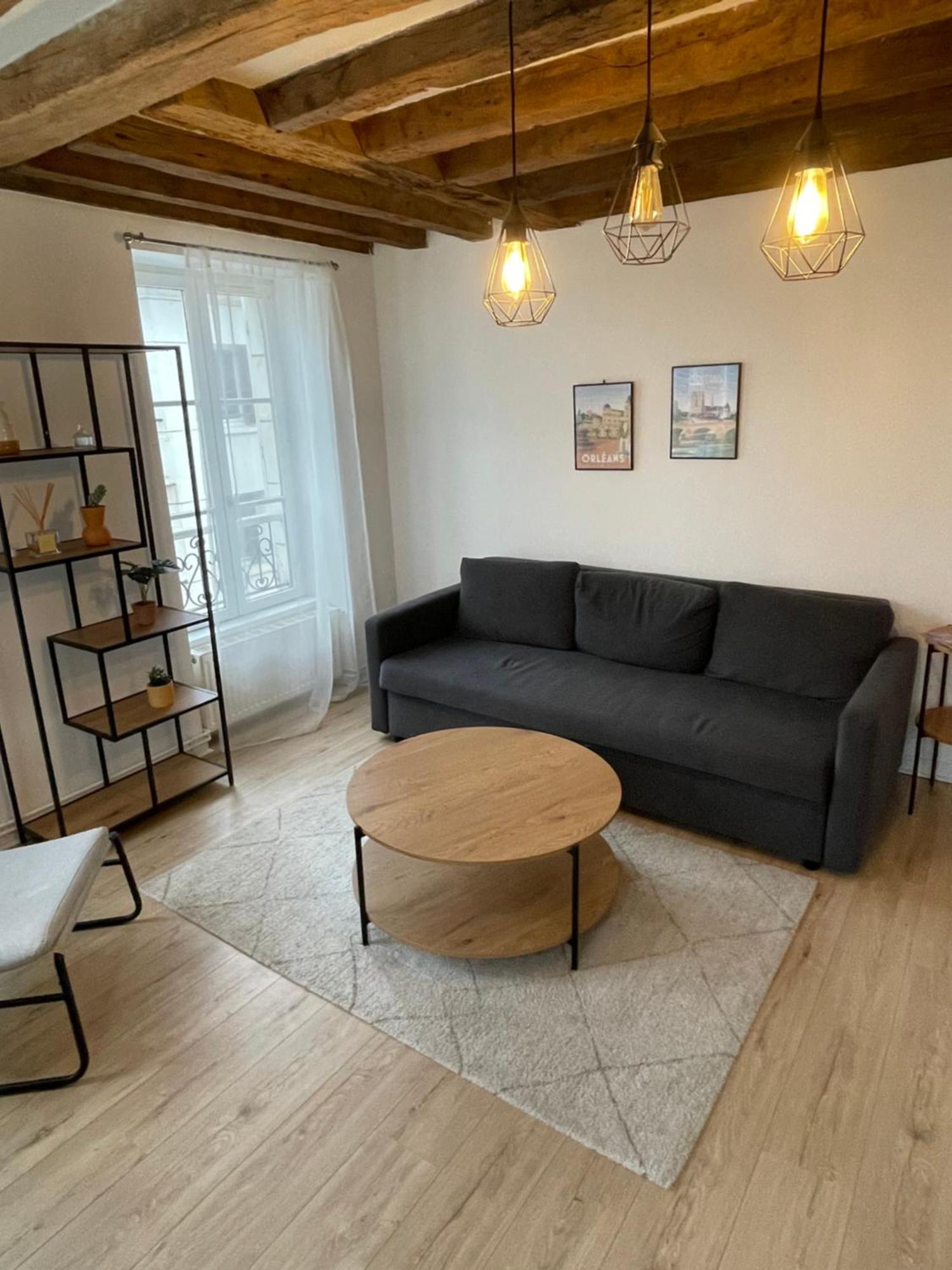 Charmant Appartement Orleans ! ภายนอก รูปภาพ