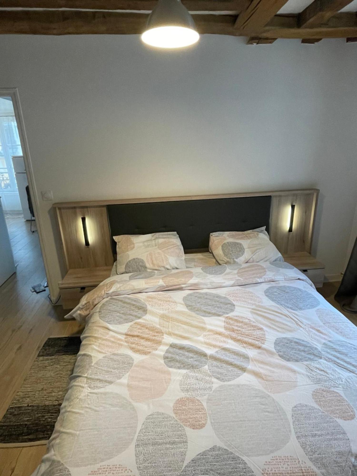 Charmant Appartement Orleans ! ภายนอก รูปภาพ